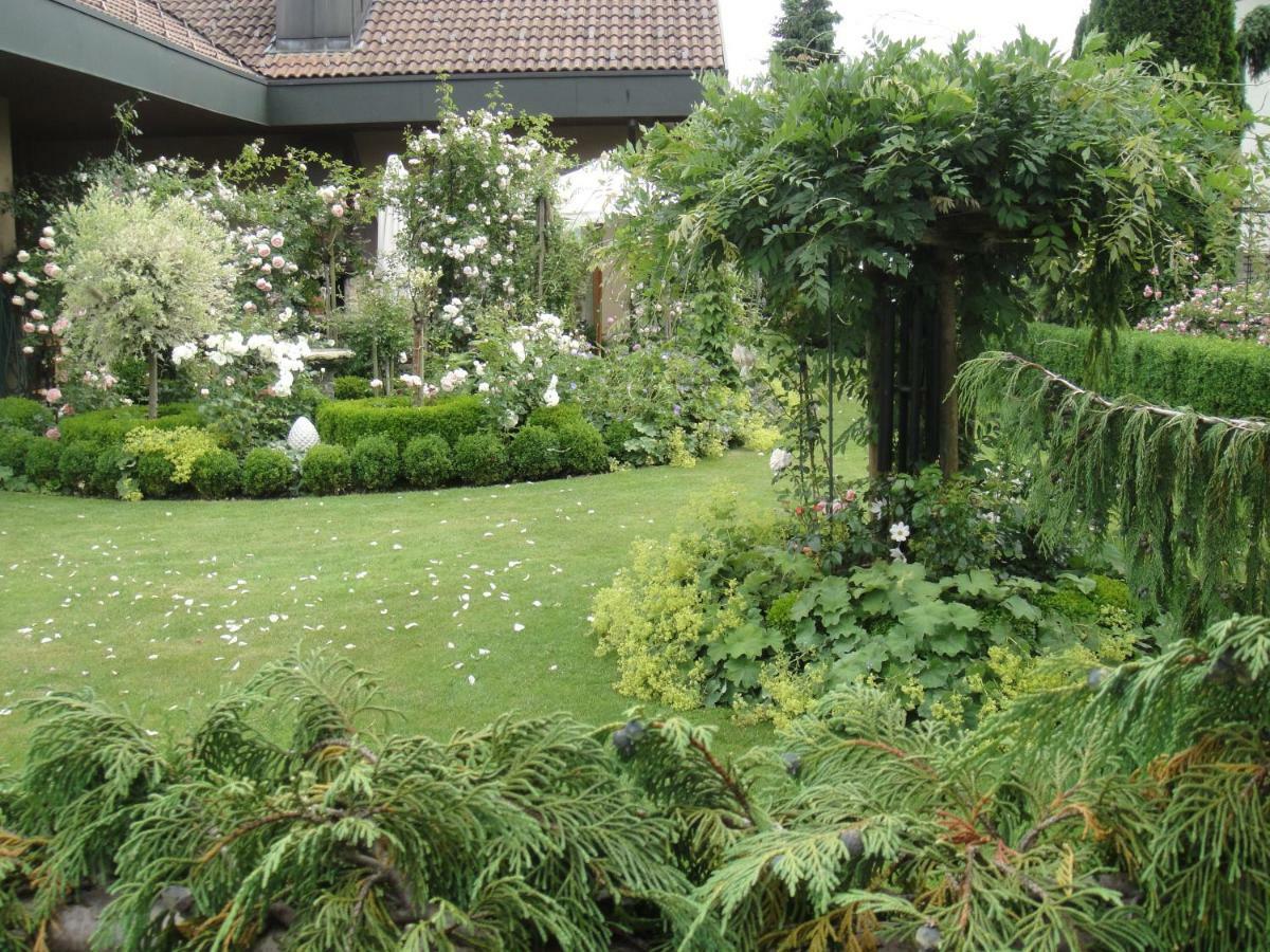 Charming And Cosy Apartment Near Lucerne Romerswil Bagian luar foto