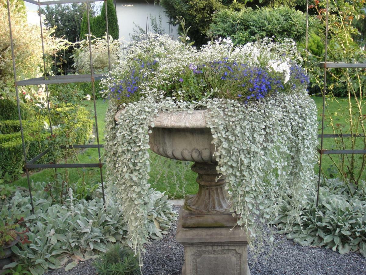 Charming And Cosy Apartment Near Lucerne Romerswil Bagian luar foto